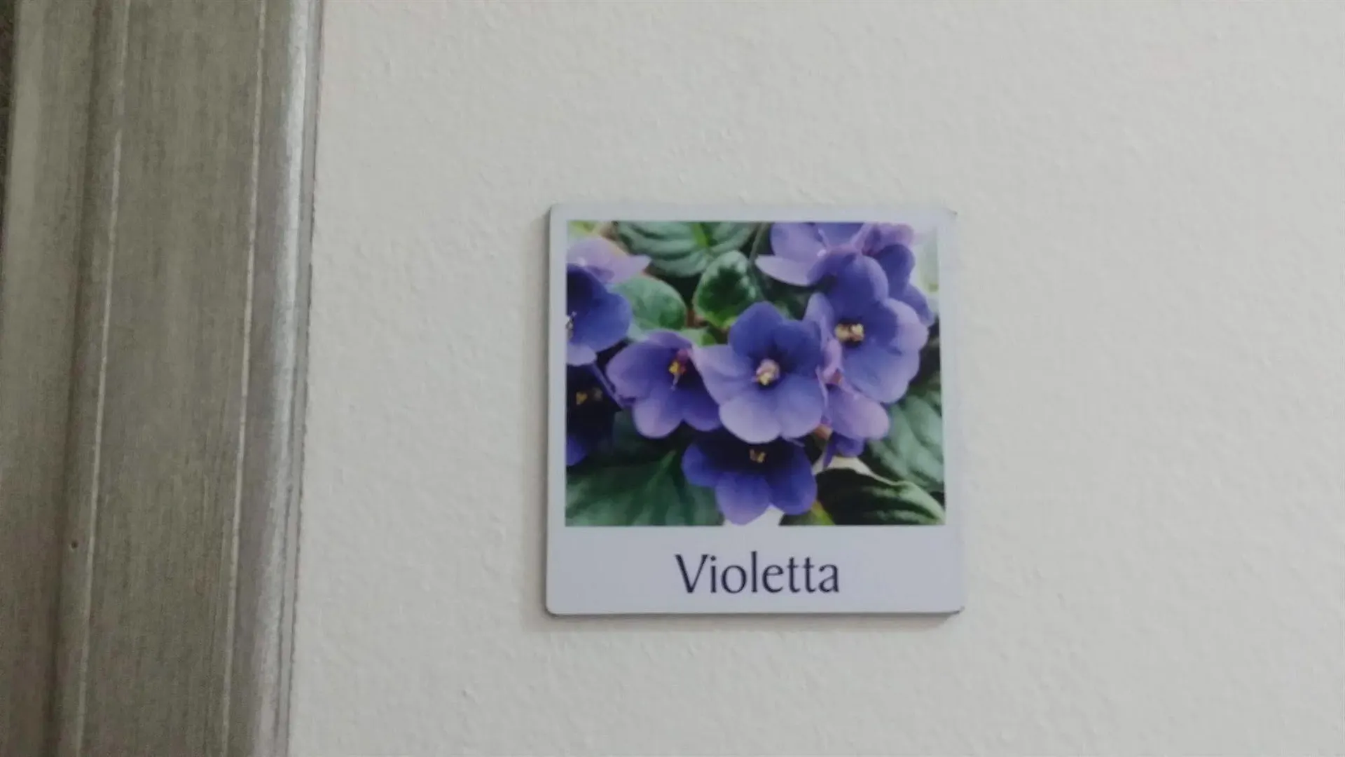 Villa Hibiscus Giardini Naxos