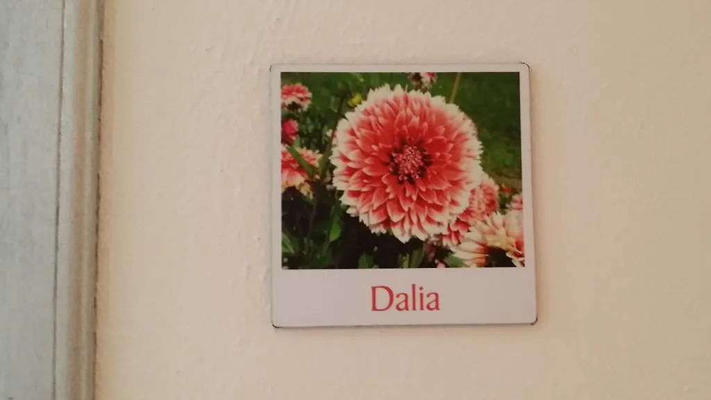 Villa Hibiscus Giardini Naxos Apartment