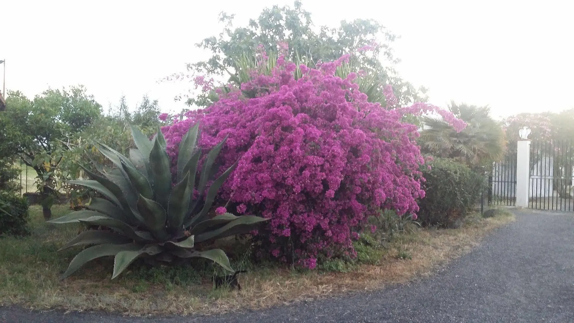 Villa Hibiscus Giardini Naxos 0*,